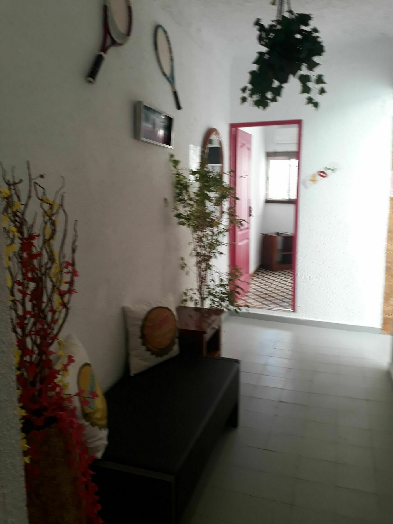 Mayor Hostel